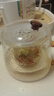 雅集茶具耐热玻璃泡茶壶煮茶壶茶水分离壶办公室家用过滤壶简易红茶壶 实拍图
