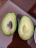 京鲜生智利进口即食牛油果 巨无霸6粒装 单果200g起 源头直发一件包邮 实拍图