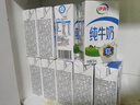 伊利纯牛奶 250ml*16盒 全脂牛奶 年货礼盒装 11月底产 实拍图