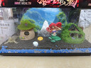 米家智能生态鱼缸还原自然生态 智能鱼缸+滤芯套装 实拍图