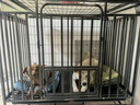 北鼻狗【升级全管加强 】狗笼中型犬大型犬狗笼子宠物狗狗笼子金毛用品 升级四面全管底部加强 黑色 110*75*90CM 建议100斤内 实拍图