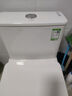 九牧（JOMOO）11396-2-1/31KB-1抗菌一级水效坐便器暴风虹吸式节水马桶305坑距 实拍图