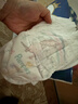 帮宝适袋鼠裤拉拉裤新生儿婴儿尿不湿尿片 超薄透气夜用 L29 实拍图