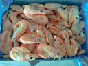 美加佳头籽熟冻北极甜虾净重3斤 规格80/100 头籽率50% 熟冻 年货送礼 实拍图