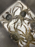 【活蟹】漁家师傅大闸蟹全母3.5-3.8两8只 去绳足重鲜活螃蟹现货生鲜年货礼盒 源头直发 实拍图