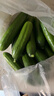 京鲜生 山东荷兰水果黄瓜 净4.5斤 单果70g+ 健康轻食早餐蔬菜 源头直发 实拍图