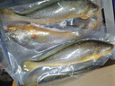 鲜京采 冷冻三去黄花鱼(宁德大黄鱼)1700g (5条装)  礼盒 生鲜海鱼  实拍图