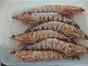 哆鲜生 海捕竹节虾 野外生长活冻国产斑节虾大花对虾九节竹节鬼虾虾类 竹节虾 特大号 5-6条 300g(净重) 实拍图