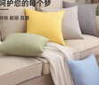洁丽雅抱枕 纯色亚麻枕 办公室靠垫床头沙发靠背可拆洗 45*45cm 绿 实拍图