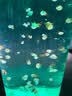 海澜之家男士睡衣男四季通用翻领纯棉100%棉抗菌防螨可外穿长袖长裤家居服 实拍图