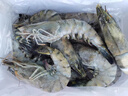 鲜京采 鲜冻大号黑虎虾 去冰净重2斤 31-40只/盒 斑节对虾 实拍图
