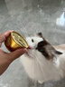 珍致猫罐头刺身罐85g*6罐金罐猫零食猫湿粮泰国进口成猫幼猫混合口味 实拍图