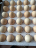 京鲜生柴鸡蛋30枚 3斤 无抗生素 谷物喂养鲜鸡蛋 源头直发 实拍图