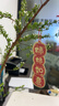 京唐新年装饰品2026马年春节布置绿植喜庆盆栽小灯笼客厅树上过年挂件 实拍图