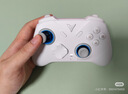 飞智冰原狼4多模版无线游戏手柄 类xbox 力调节摇杆双切扳机 switch电脑PC手机steam体感NS 丝之歌 实拍图