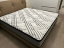 舒达（serta）床垫 乳胶床垫独立袋弹簧阻螨菌双人床床垫子1.5/1.8米*2米可定制 【梦享1931经典】五星爆款 适中偏软 28cm 1.8x2米 实拍图