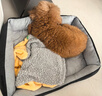 憨憨乐园 狗窝猫窝L号25斤内宠物房子狗狗泰迪垫子狗屋四季小狗窝床用品 实拍图