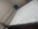 舒达（serta）床垫 乳胶床垫独立袋弹簧阻螨菌双人床床垫子1.5/1.8米*2米可定制 【梦享1931经典B】升级妙乐扣 适中 26cm 1.8x2米 实拍图