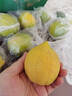 广东香水黄柠檬包邮新鲜水果柠檬精选皮薄奶茶店专用整箱 现货 柠檬带箱2斤单果70g+约10-18个 实拍图