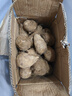 农多鲜云南小芋头新鲜现挖毛芋头香芋头应季蔬菜包邮产地直发 云南小芋头净重 5斤大果 实拍图