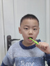 马博士儿童软毛牙刷12支3-12岁男女宝宝卡通月份软毛牙刷 多彩月份牙刷 实拍图