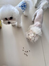 疯狂小狗 小型犬狗粮幼犬成犬宠物泰迪贵宾博美比熊小型犬通用粮 1.5kg3斤 实拍图