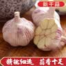 营田半亩大蒜农家健康蒜干蒜头蒜大蒜紫白皮干蒜头干大蒜头蔬菜200g-5斤 2斤带箱重【4.5-5.5cm】更大果 实拍图