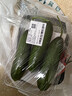 【水果菜】荷兰水果黄瓜约400g 实拍图