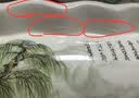 裕轩堂纯白色新款陶瓷花盆室内简约个性带托盘绿萝吊兰蝴蝶兰多肉盆桌面 88003白 中号口径约14厘米 实拍图