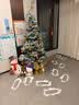 琉弦笙 圣诞树客厅  【德国品质】落雪圣诞摆件酒店商场装饰圣诞节装饰 客厅推荐-1.8米加密落雪圣诞树【赠玩偶牌】 实拍图