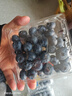 怡颗莓Driscoll's 云南蓝莓Jumbo大果18mm+ 6盒125g/盒新鲜水果礼盒 实拍图
