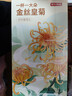 京东京造鲜来多金丝皇菊30大朵【京东自营】安徽黄山菊花茶一朵独立包装 实拍图
