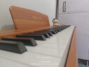 贝琪（Betsy）B351电钢琴88键重锤成人儿童电子钢琴家用练习初学者专业考级钢琴 B353-重锤88键木纹棕+圆腿琴架 实拍图