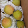 京鲜生 新疆特级库尔勒香梨 净重5斤单果120g以上 生鲜水果 实拍图