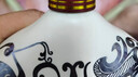 津酒 扁凤壶 浓香型白酒 52度 500ml*6 整箱装 白酒中秋送礼送长辈 实拍图