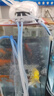 松宝（sobo）鱼缸增氧泵家用养鱼氧气泵充氧机打氧泵鱼缸制氧机增氧机10W四孔 实拍图