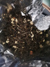 猴王牌中茶茉莉花茶飘雪香片浓香型精品250g罐装茶叶茉莉绿茶 实拍图