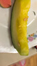 京鲜生 【年货】海南头茬玉菇甜瓜 净重4.5斤+ 2粒装 生鲜水果源头直发 实拍图