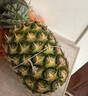 佳农 菲律宾进口菠萝 2个装 凤梨 单果净重2斤 生鲜水果源头直发 包邮 实拍图