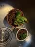 招财钱串吸财树多肉植物办公室桌面绿植盆栽花卉新手好养 【传统国学招财】吸财树+元宝 实拍图