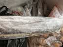 棠鲜生带鱼 精品特级海钓宽带鱼新鲜特大整条带鱼礼盒整箱节日送礼礼盒 6斤装（1斤-1.4斤/条） 实拍图