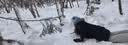 回力手套冬季男骑行手套滑雪手套加厚保暖手套防水防风防寒冬天手套女 实拍图