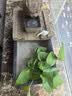 荷府家居 家居生财吸水兽造景石槽办公室室内流水摆件雾化加湿循环水水系景观 金蟾青云佳瑞（带雾化器） 实拍图