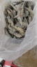 东上御品虾 青岛大虾基围虾鲜活青虾白虾海虾对虾冰虾冻虾生鲜 虾类 海鲜 3斤(净重)  气冻大虾【活虾速冻】 11-12cm【单只无冰衣】 实拍图