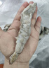 万景国产大虾 盐冻北海白虾(大号) 80-100只净重4斤 聚餐 海鲜年货 实拍图