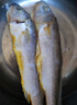 黄小渔 宁德三去黄花鱼650g/2条 大黄鱼生鲜海鲜水产深海鱼烧烤年货送礼 实拍图