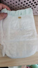babycare金山茶花拉拉裤XXXXL26片(＞19kg)婴儿尿不湿超薄透气轻柔花苞裤 实拍图