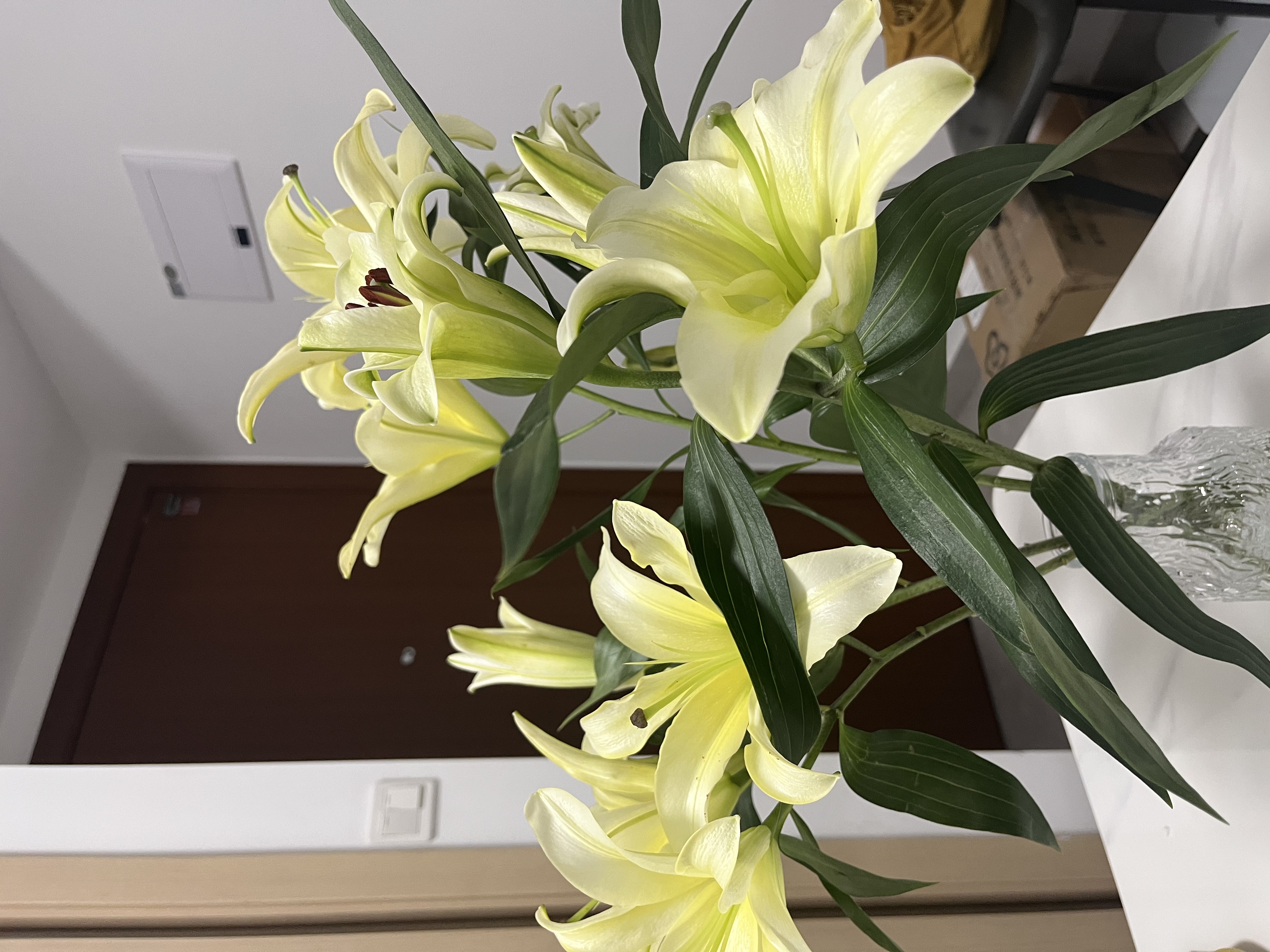 轻奢玻璃花瓶高级感摆件客厅插花透明水养鲜花专用百合玫瑰餐桌 【17高透明】水滴花瓶 实拍图