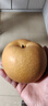 京鲜生 山东烟台莱阳秋月梨净重9斤单果450g+  生鲜水果 源头直发 实拍图