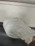好奇（Huggies）铂金装小桃裤纸尿裤L120片(9-14kg)大号尿不湿【透爽散热】 实拍图
